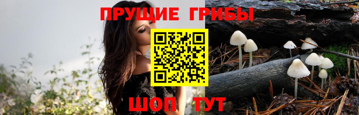 Галлюциногенные грибы мицелий Чапаевск