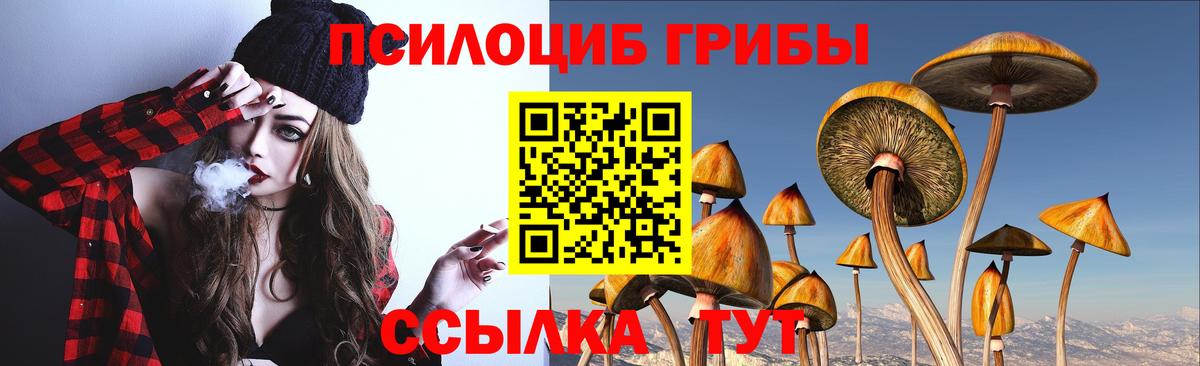 Чапаевск  Псилоцибиновые грибы мухоморы  Вход с VPN  Галлюциногенные грибы Psilocybe 